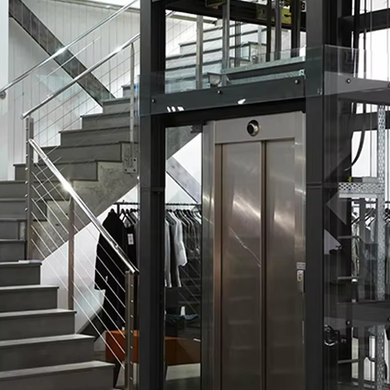 VTEV105 Ascensores Elevadores Индивидуальный лифт для виллы для внутренней отделки